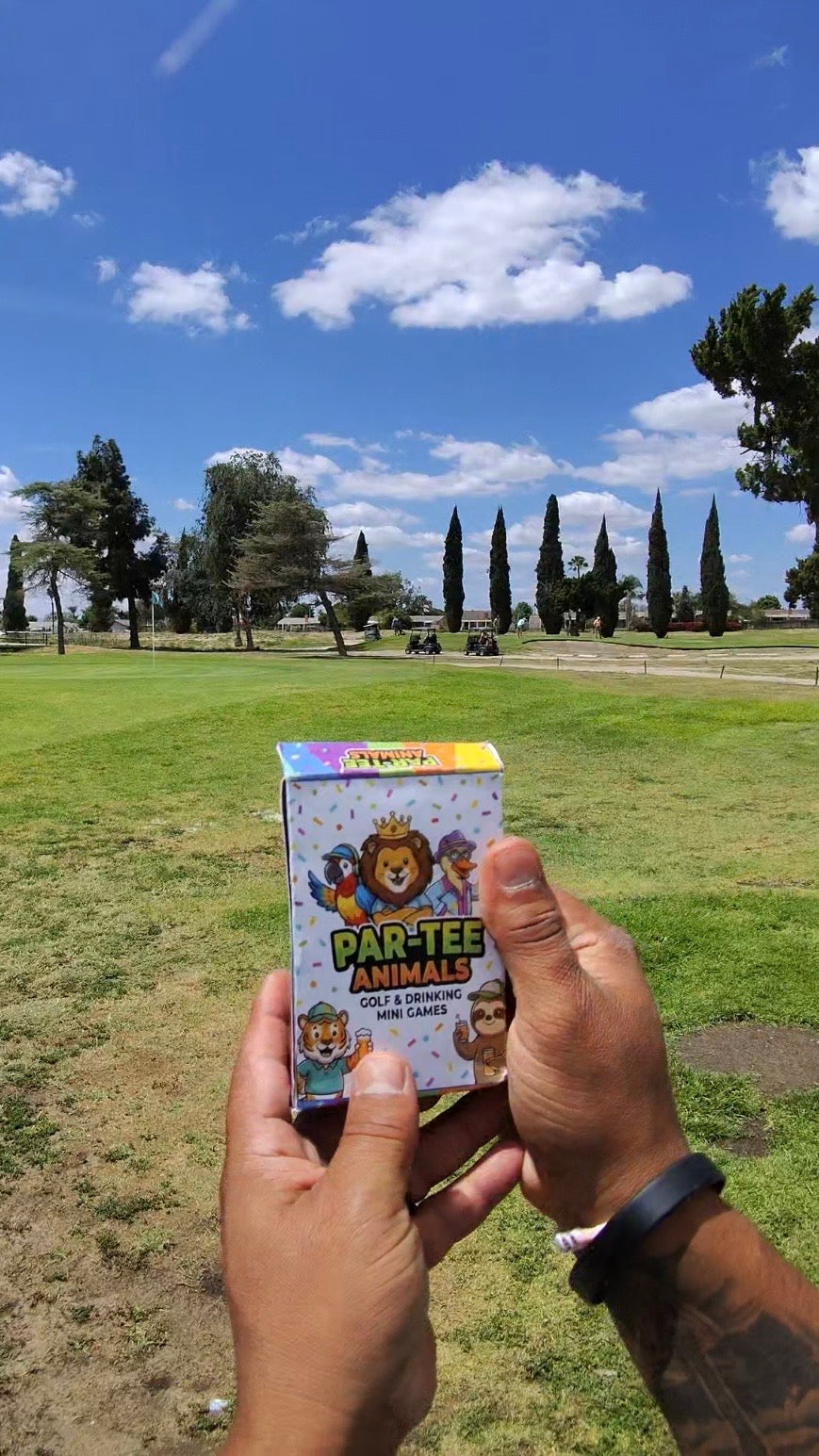 Par-Tee Animals Card Game